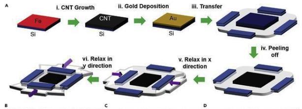 ������ʱ���ٷ���վ���������ǲ�!