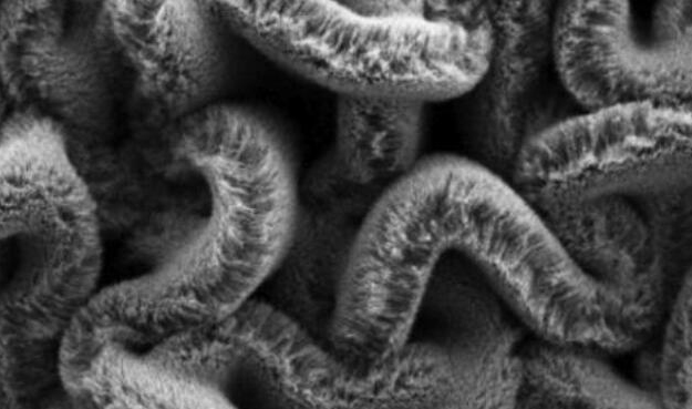 ��ҵ���ţ�������ĳ��ȵ�������Ϊ���Կ�����װ����·